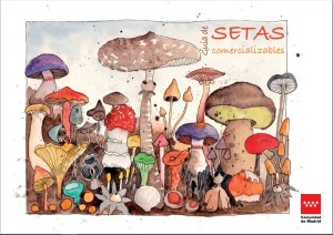 Guía de setas comercializables