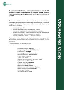 El Ayuntamiento ha llevado a cabo la plantación de un total de 654 plantas, árboles y arbustos gracias al Convenio con el IMIDRA.