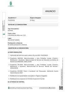 PLENO ORDINARIO