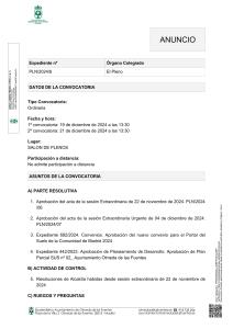 PLENO ORDINARIO
