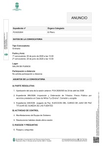 PLENO ORDINARIO