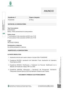 PLENO EXTRAORDINARIO DE PRESUPUESTOS