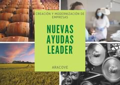 Nueva Convocatoria 2/2022 de Ayudas del Programa LEADER para la  la Alcarria de Alcalá gestionado por ARACOVE. 