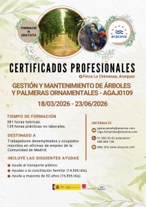 CERTIFICADOS PROFESIONALES (ARACOVE)