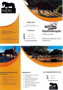 EQUINOTERAPIA EN DONKEY BUSINESS