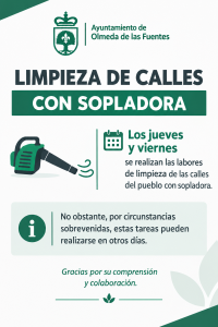 LIMPIEZA DE CALLES CON SOPLADORA