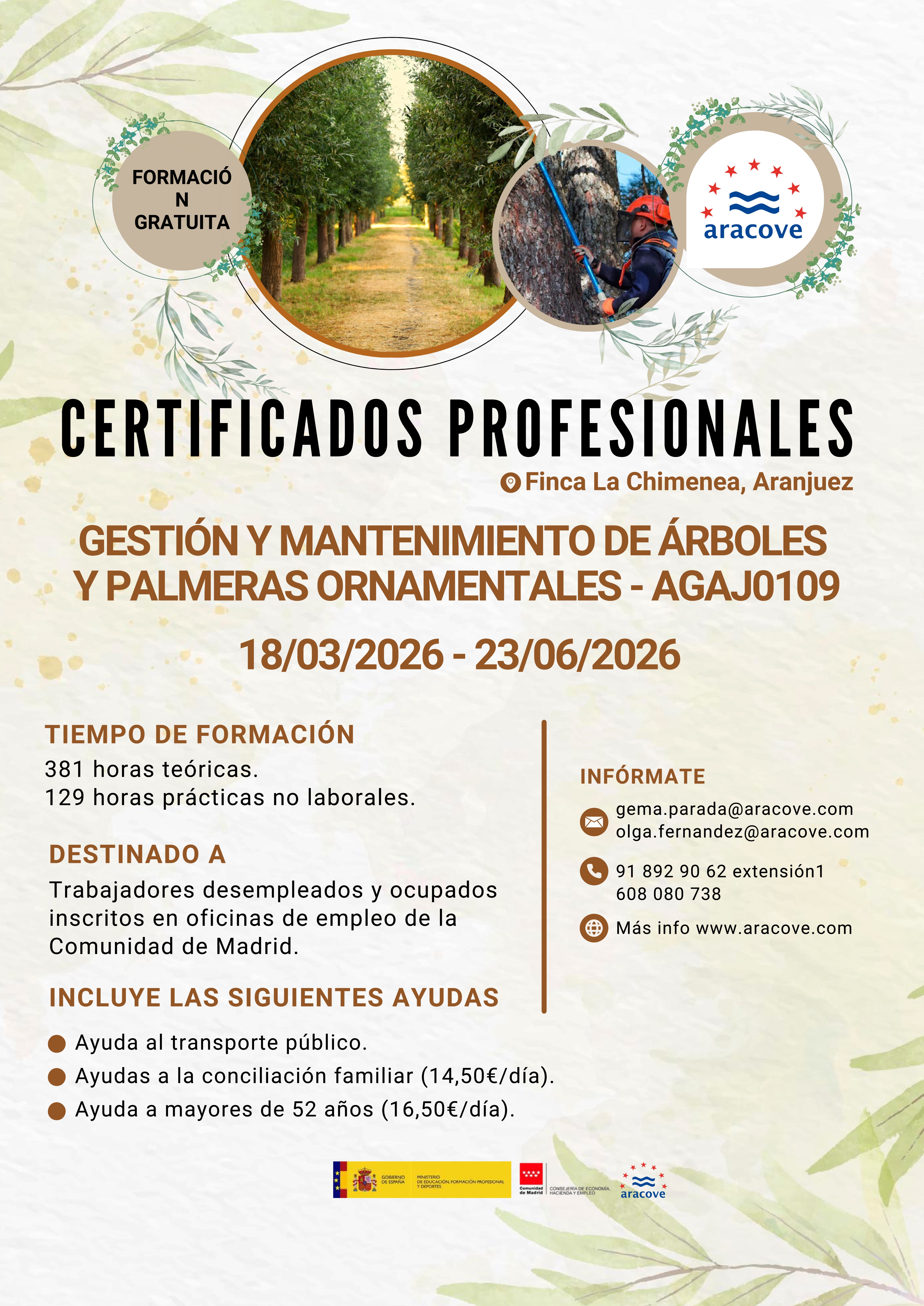 certificados---arboles-y-palmeras-001